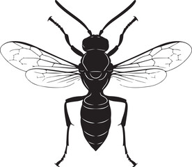 Treecreeper Silhouette