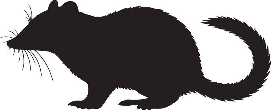 Treeshrew Silhouette