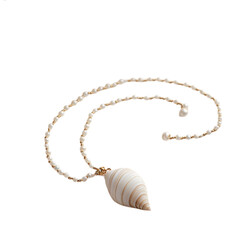 Elegant Minimalist Shell Necklace with a Refined Clasp Isolated on Transparent Background