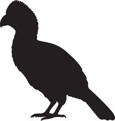 Turaco Silhouette