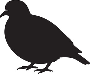 silhouette of a bird