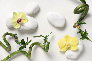Composition with spa stones, beautiful orchid flowers and bamboo stems on light background