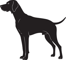 Vizsla Silhouette