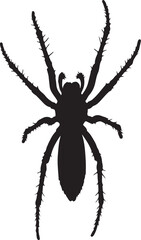 Yellow Sac Spider Silhouette Top View Single Icon