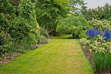 Schreiners Iris Gardens in Salem Oregon