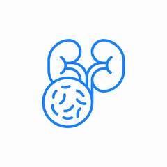 bacteria kidneys icon sign vector