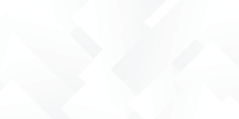 White Grey Silver Box Rectangle Abstract Background Vector Presentation Design