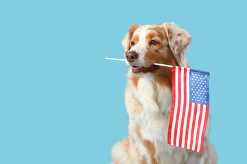 Cute dog with USA flag on blue background. Independence Day celebration