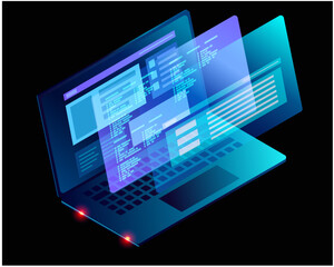 Software Development and Programming Interface