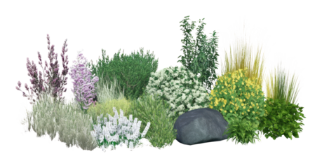 PNG Group of different bushes flower plants green.