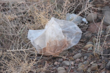 A plastic bag on the ground, Plastic environmental impact