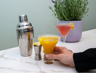 Brightly Lit Homemade Cocktails on Marble Counter with Shaker and Lavender Plant