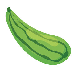 Green striped zucchini icon. Vector