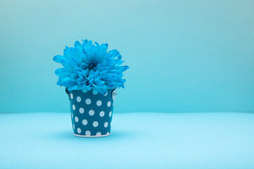 Blue flowers in the cute basket on light blue background with copyspace