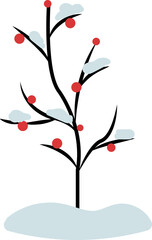 Obraz premium 열매,겨울,나무,나뭇가지,성탄,성탄절,크리스마스,베리,베리잎,장식,데코,식물