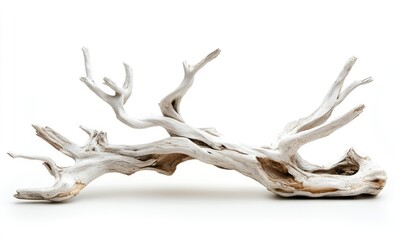 Fototapeta premium Old white dead tree branch isolated on white background. AI generated illustration.