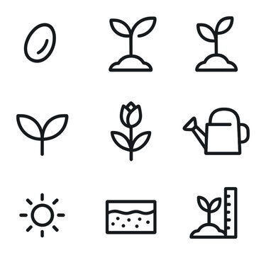 Plant Growth Icons. Outline icon set of plant growth stages: seed, sprout, seedling, leaf pair, budding flower, watering can, sun