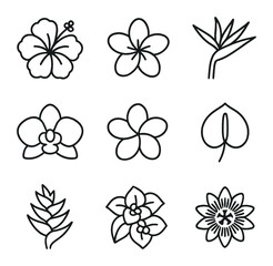 Tropical Flower Icons. Outline icon set of tropical flowers: hibiscus bloom, plumeria flower, bird of paradise, orchid blossom,