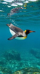 Photo of a Penguin Swimming Underwater in Clear Blue Ocean Water