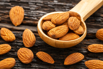 Dried almond nuts in a spoon - Prunus dulcis