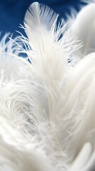 Fototapeta premium Soft White Feathers Close Up Macro Photography