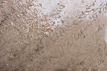 texture of muddy dirt road surface