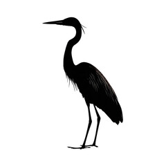 A shadowy figure of a bird standing in the dark with a long neck and a pointed beak visible here