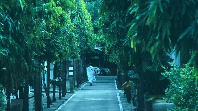 A man (or monk) in Asian style a robe carrying plastic bags from supermarket is going away down the green alley of mango trees in Thailand