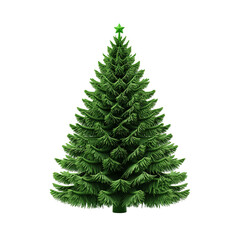 Christmas tree evergreen holiday season festive decoration ornament isolated on transparent background 