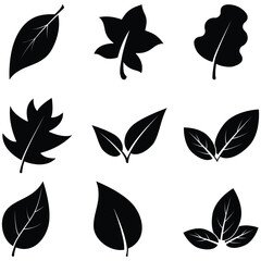 Fototapeta premium leaf glyph icon set featuring minimalist and nature-inspired designs. Perfect for eco-friendly branding, sustainability projects, organic products, and environmental themes