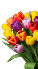 A vibrant symphony of colors: A bouquet of multicolored tulips in full splendor