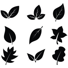 Fototapeta premium leaf glyph icon set featuring minimalist and nature-inspired designs. Perfect for eco-friendly branding, sustainability projects, organic products, and environmental themes