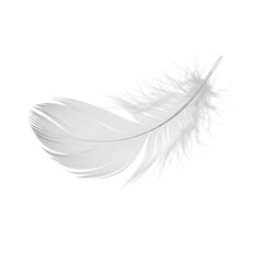 Obraz premium Elegant White Feather A Delicate and Airy Image Perfect for Design Projects, Textures, and Backgrounds