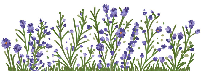Blue wildflowers, herbs and grass. Vector isolated illustration