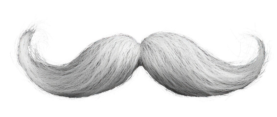 PNG White mustache style accessory grooming costume.