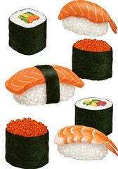 Illustration of Various Sushi Pieces with Salmon and Rice Closeup Isolated