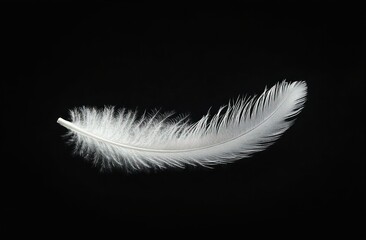 Obraz premium Single white feather with delicate barbs and soft texture isolated on deep black background conveying lightness and purity