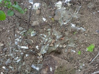 Broken Glass Shards Scattered on Dirt Ground