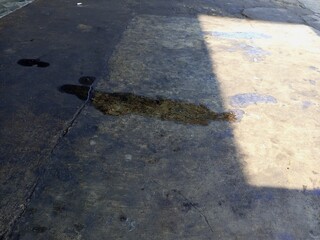 Fototapeta premium Dark Oil Stains and Water on Concrete Floor