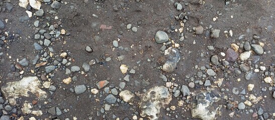 Dark Earthy Ground Texture with Scattered Pebbles