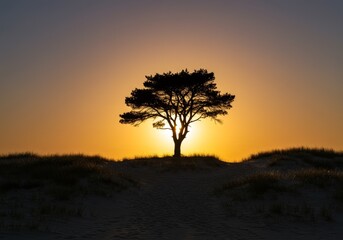 Obraz premium Photo of a Silhouette Tree Against a Sunset Sky with Golden Light