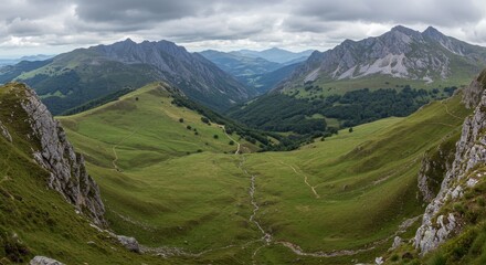 Fototapeta premium Panoramic View of Mountain Valley with Green Grass Rocks and Trees Photo