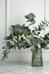Green eucalyptus branches in vase on marble table near white wall indoors