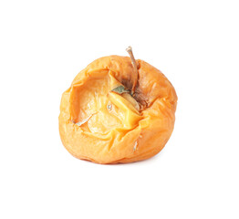 One whole rotten apple isolated on white