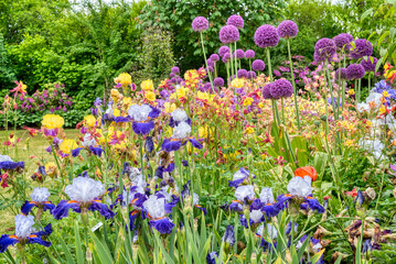 Fototapete bei efototapeten.de bestellen   