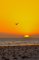 atardecer