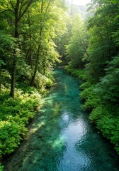 Obraz premium Photo of a Lush Green Forest with a Clear Turquoise River and Sunlight