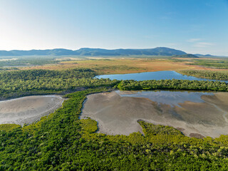 Aerial view of tidal forest with inland lagoon and grassy Queensland plains.