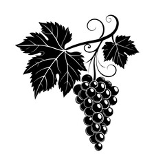 bunch of grapes