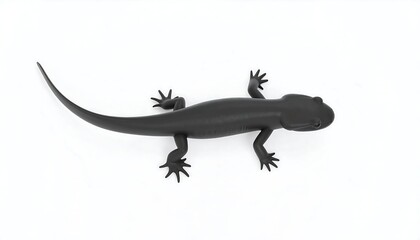 Black Salamander 3D Render, Minimalist - Minimalism